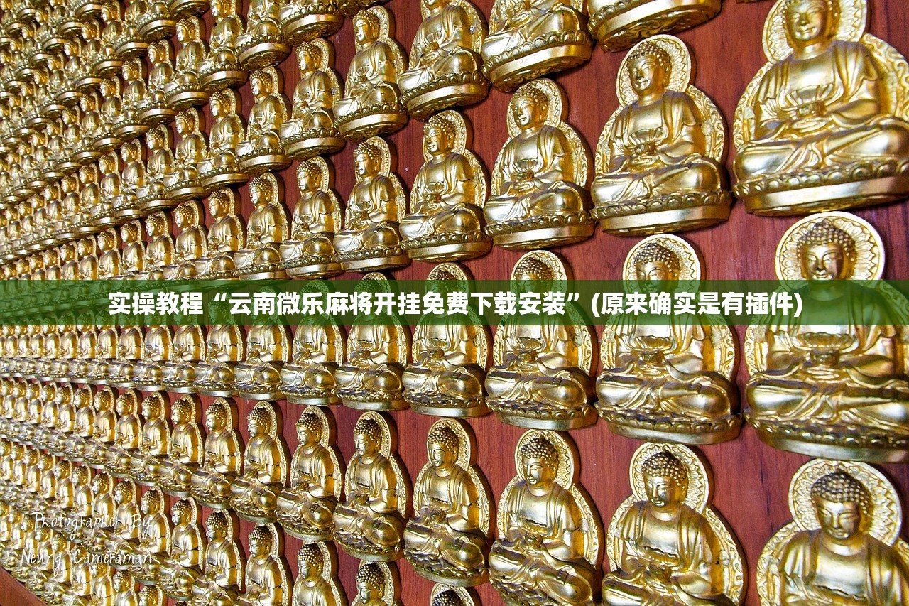 实操教程“云南微乐麻将开挂免费下载安装	”(原来确实是有插件)