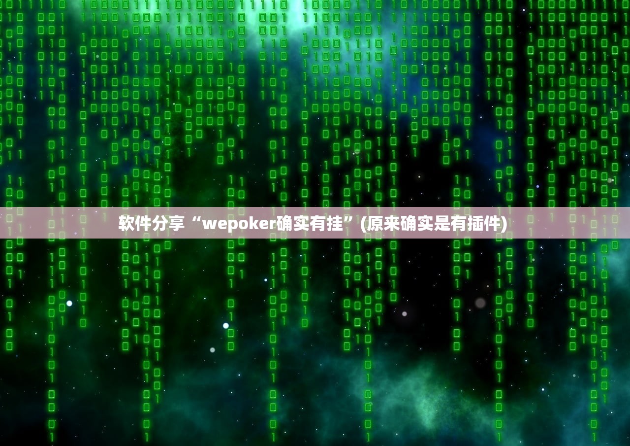 软件分享“wepoker确实有挂”(原来确实是有插件) 