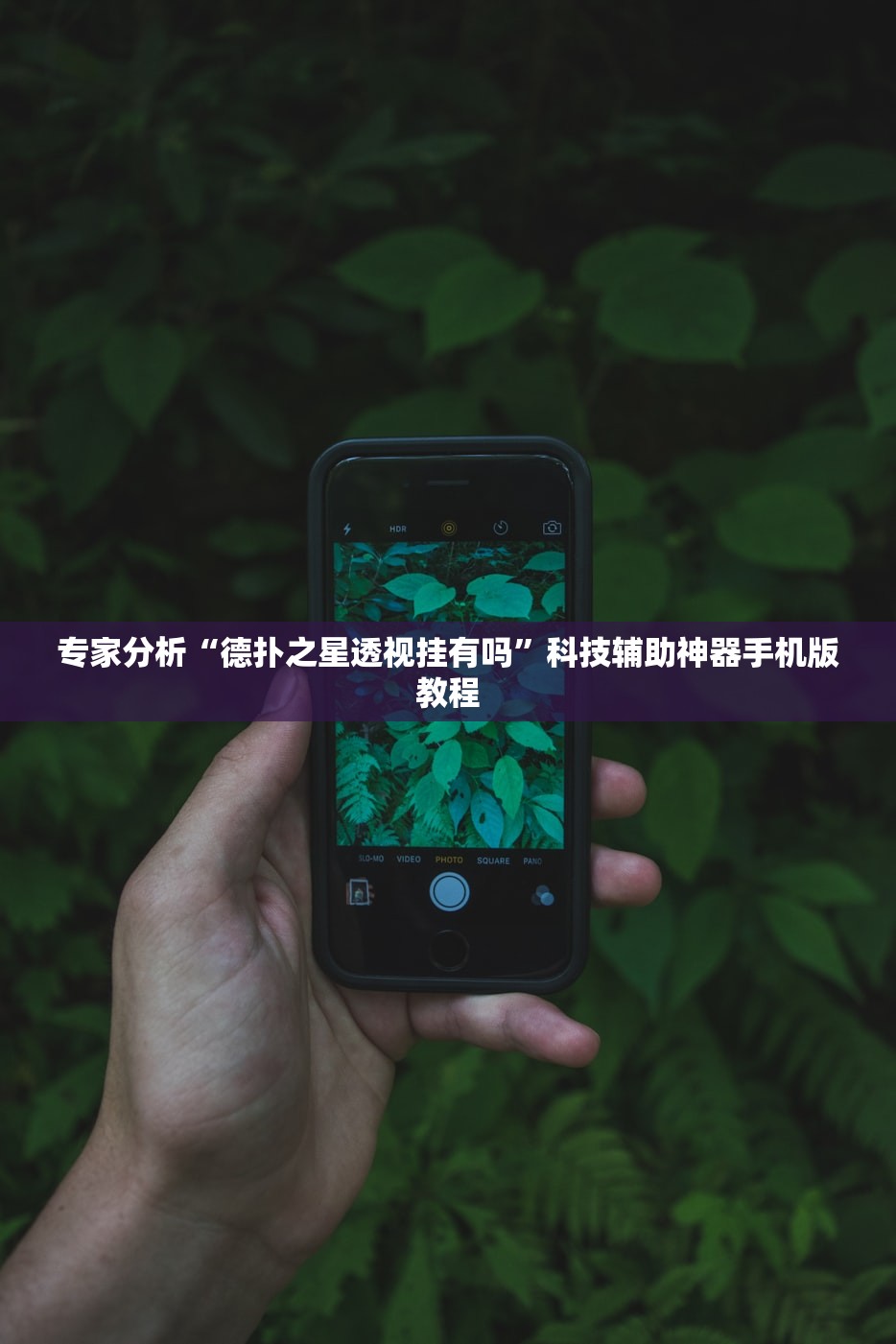 专家分析“德扑之星透视挂有吗”科技辅助神器手机版教程