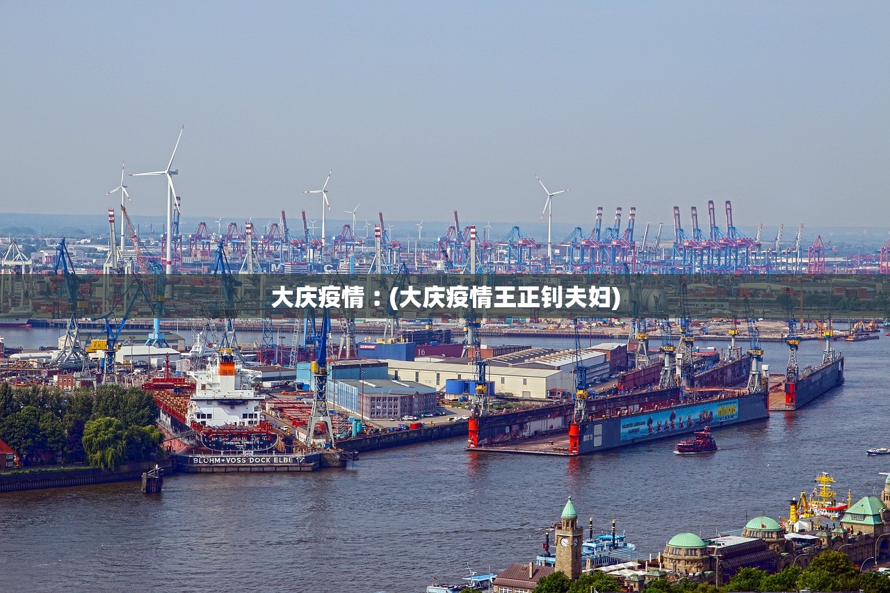 大庆疫情︰(大庆疫情王正钊夫妇) 大庆疫情︰(大庆疫情王正钊夫妇)