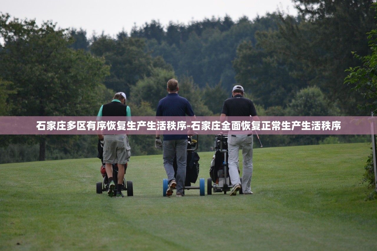 石家庄多区有序恢复生产生活秩序-石家庄全面恢复正常生产生活秩序