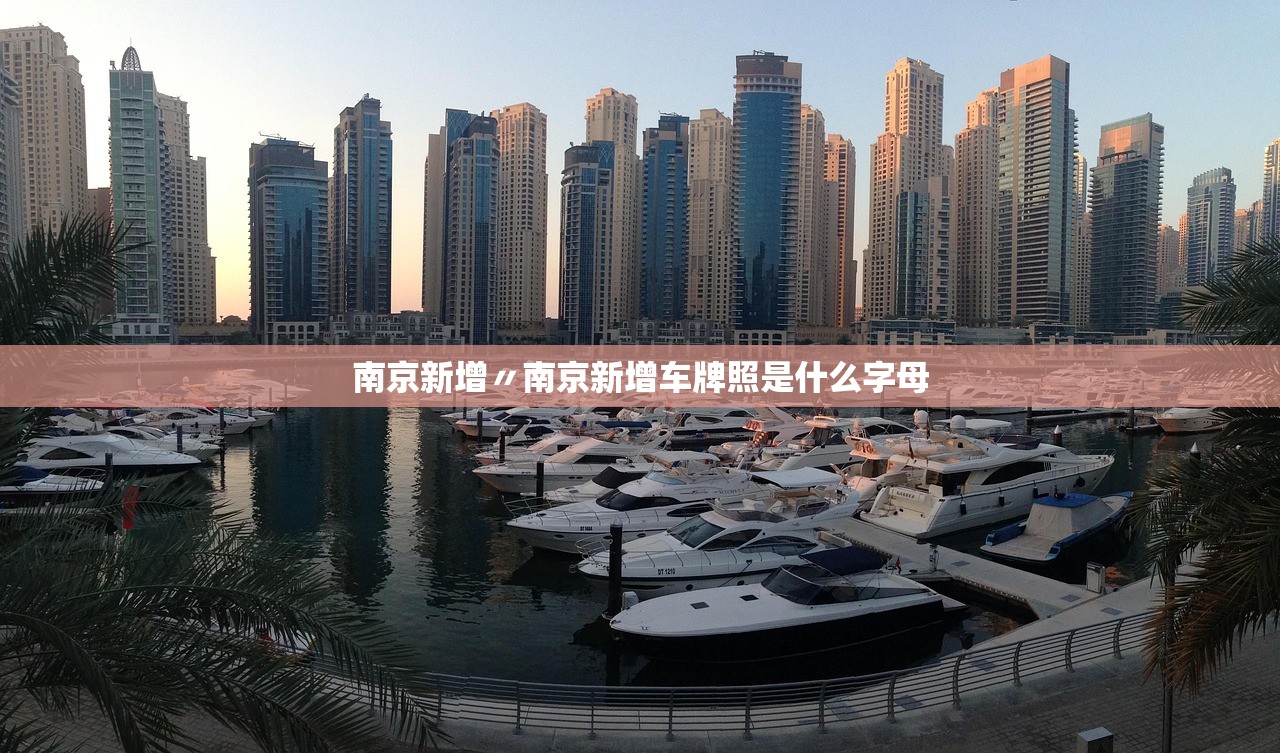 南京新增〃南京新增车牌照是什么字母 南京新增〃南京新增车牌照是什么字母