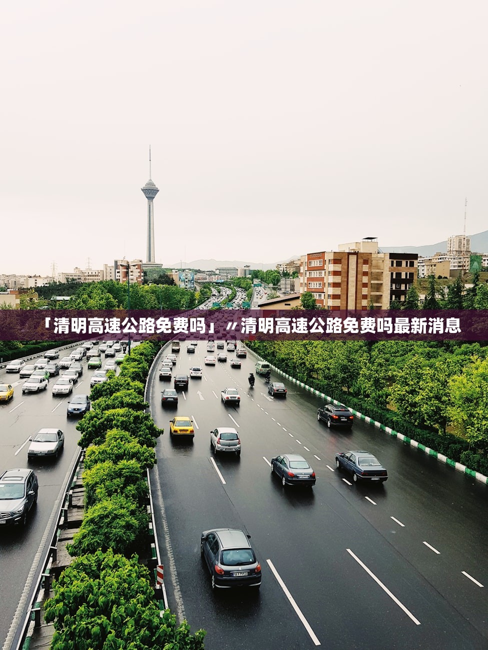 「清明高速公路免费吗」〃清明高速公路免费吗最新消息 「清明高速公路免费吗」〃清明高速公路免费吗最新消息