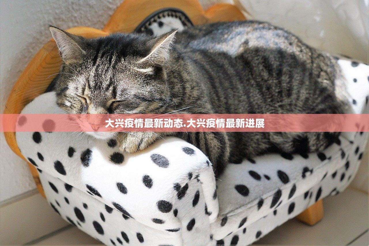 大兴疫情最新动态.大兴疫情最新进展 大兴疫情最新动态.大兴疫情最新进展