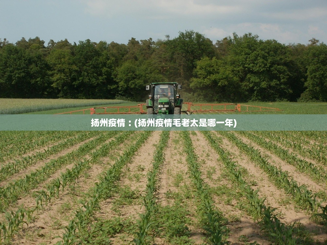扬州疫情︰(扬州疫情毛老太是哪一年) 扬州疫情︰(扬州疫情毛老太是哪一年)