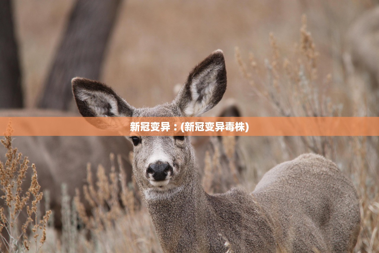 新冠变异︰(新冠变异毒株) 新冠变异︰(新冠变异毒株)
