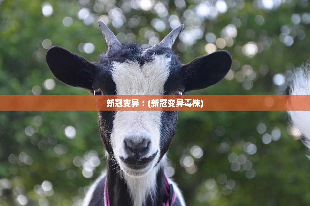 新冠变异︰(新冠变异毒株) 新冠变异︰(新冠变异毒株)