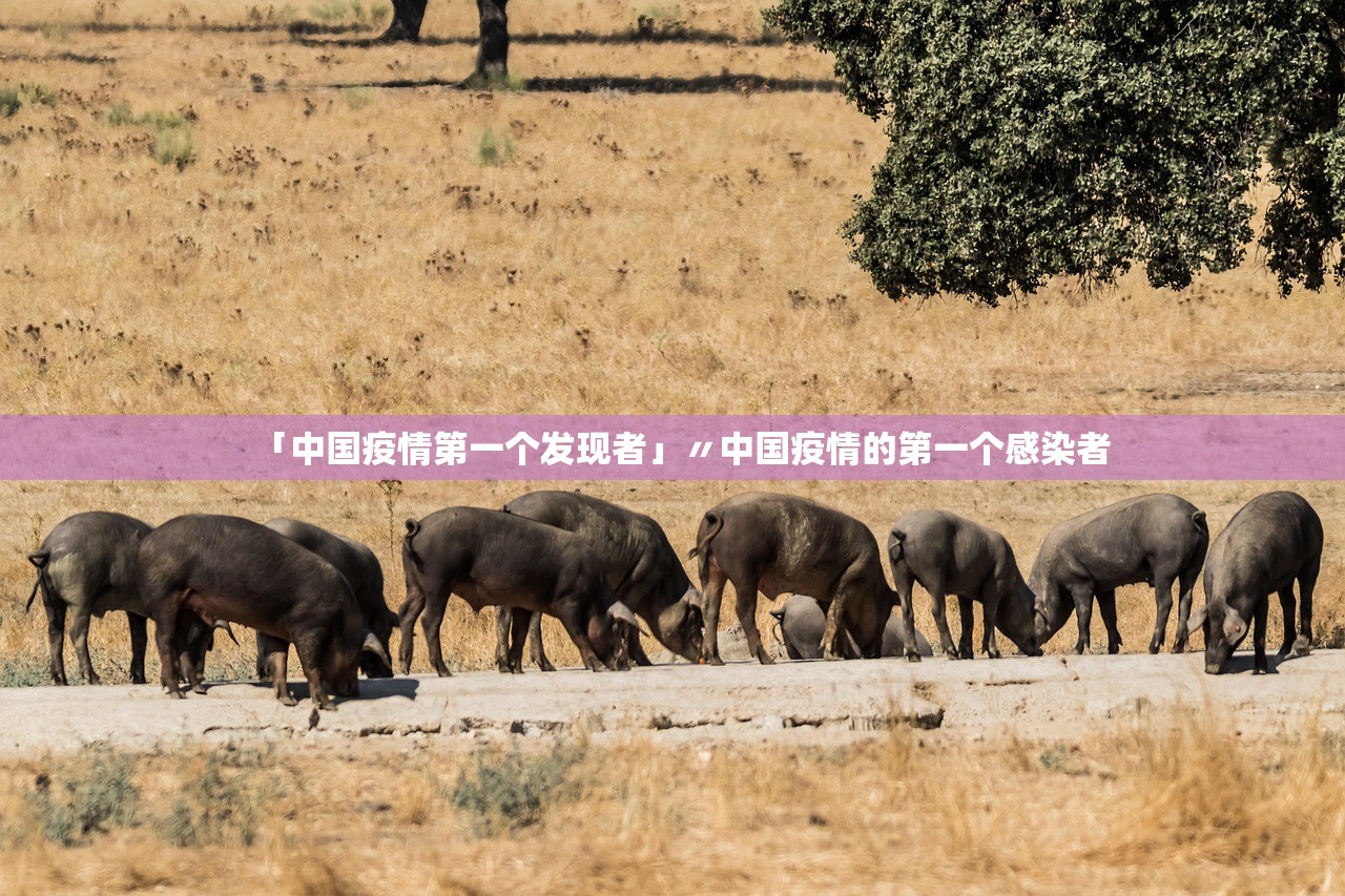 「中国疫情第一个发现者」〃中国疫情的第一个感染者