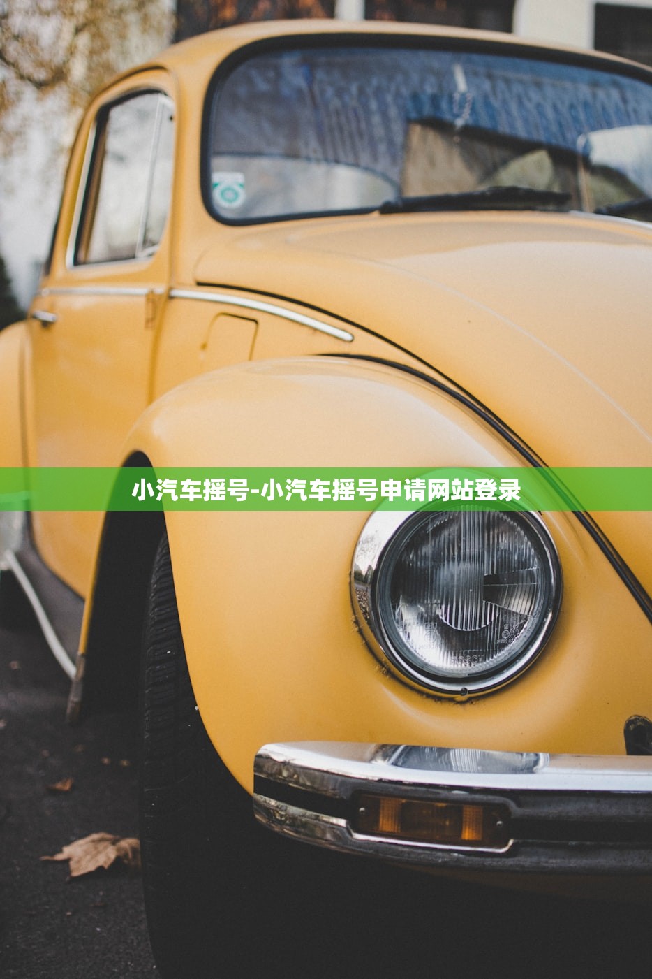 小汽车摇号-小汽车摇号申请网站登录 小汽车摇号-小汽车摇号申请网站登录