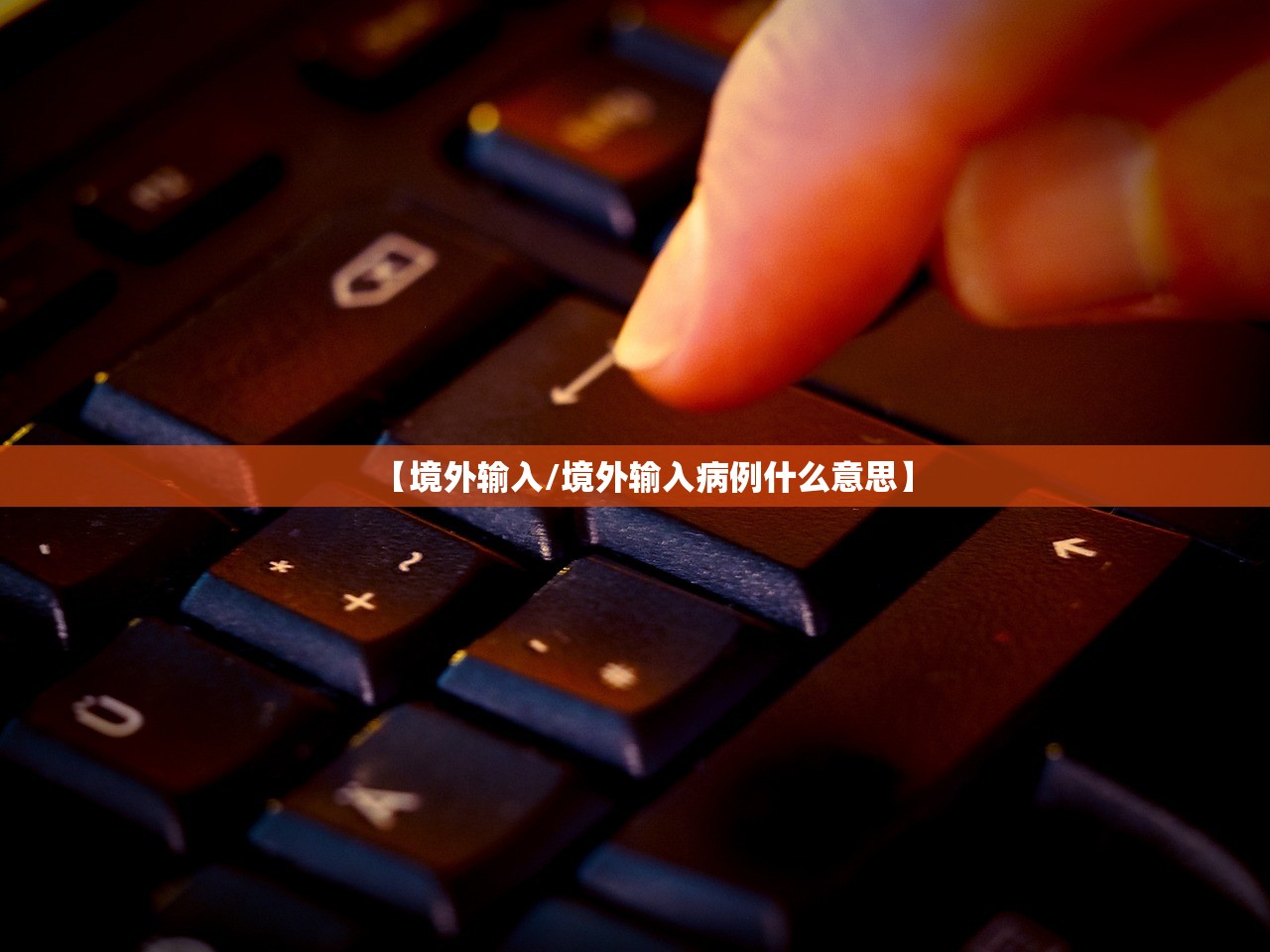 【境外输入/境外输入病例什么意思】