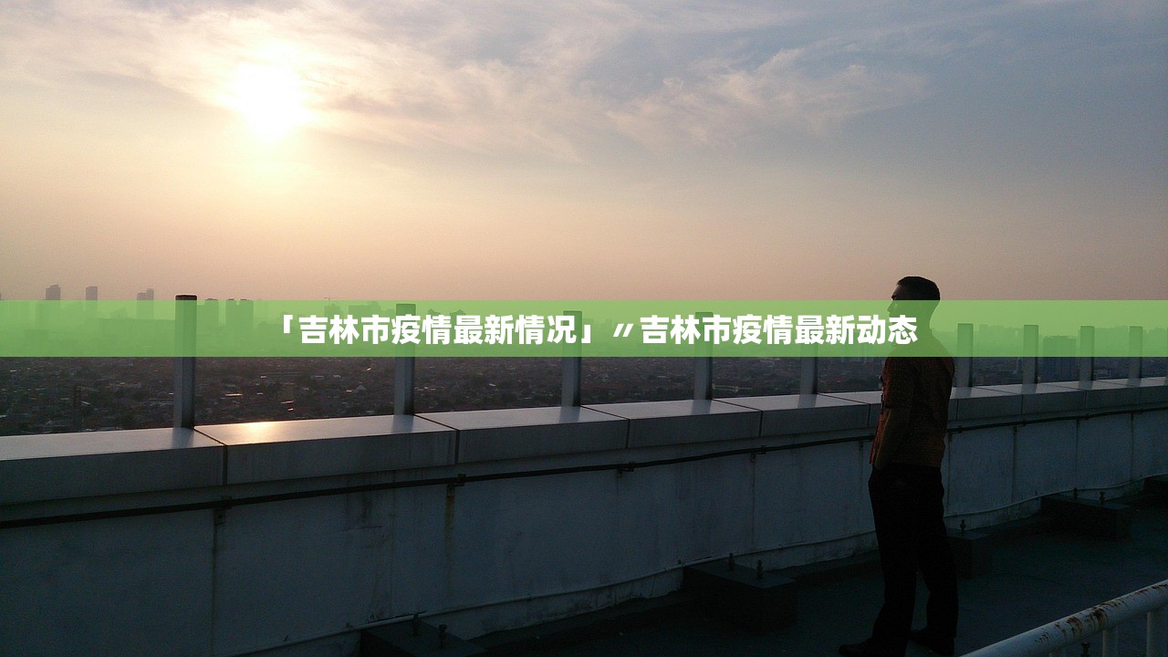 今日教程“功夫熊猫金花有挂吗”辅助器 – 实时智能回复