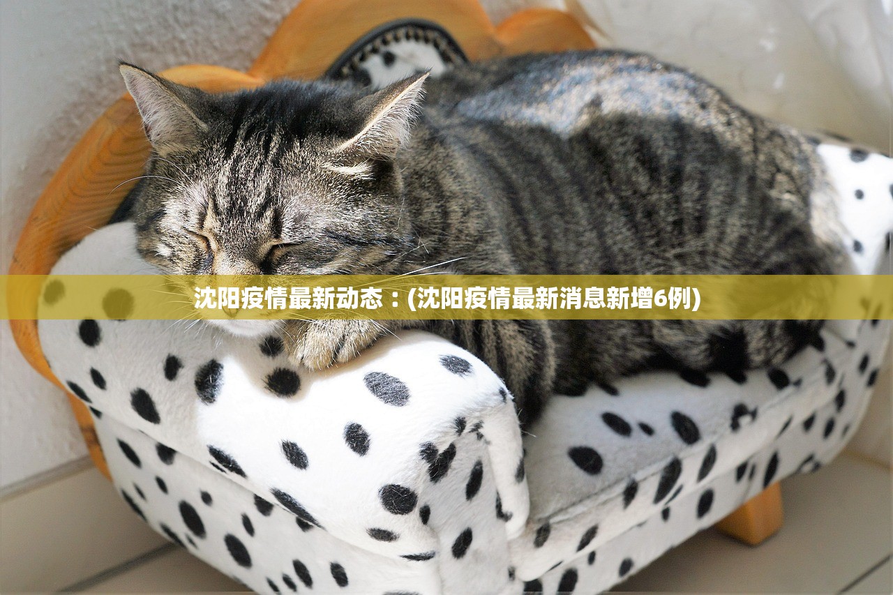 沈阳疫情最新动态︰(沈阳疫情最新消息新增6例) 沈阳疫情最新动态︰(沈阳疫情最新消息新增6例)