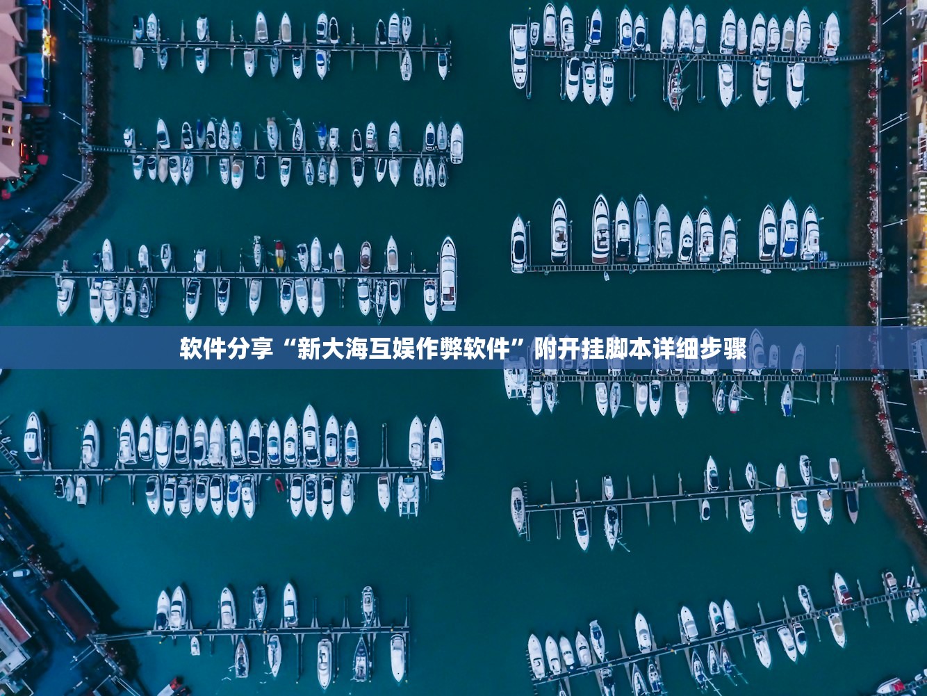 软件分享“新大海互娱作弊软件”附开挂脚本详细步骤