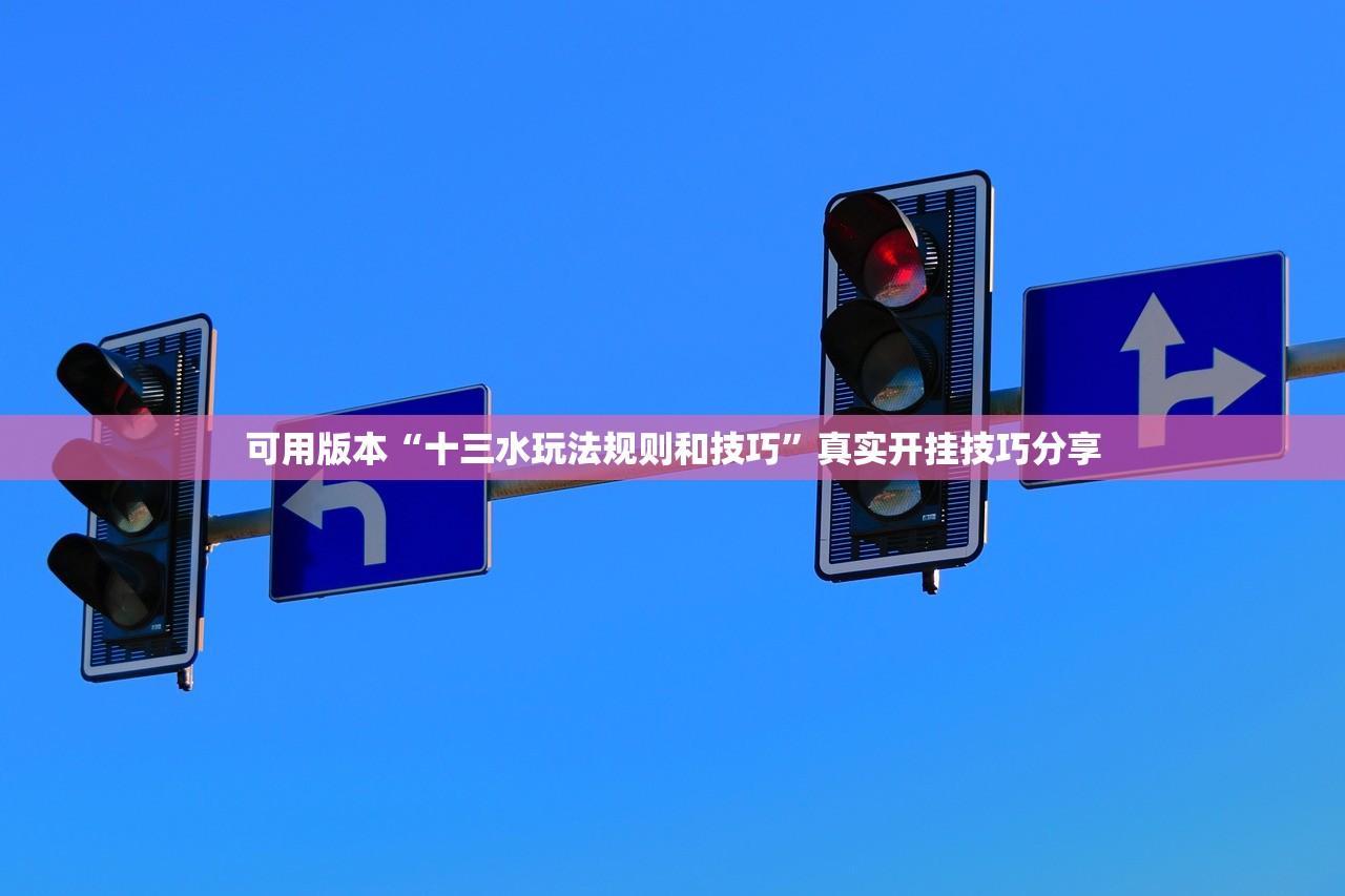 可用版本“十三水玩法规则和技巧”真实开挂技巧分享