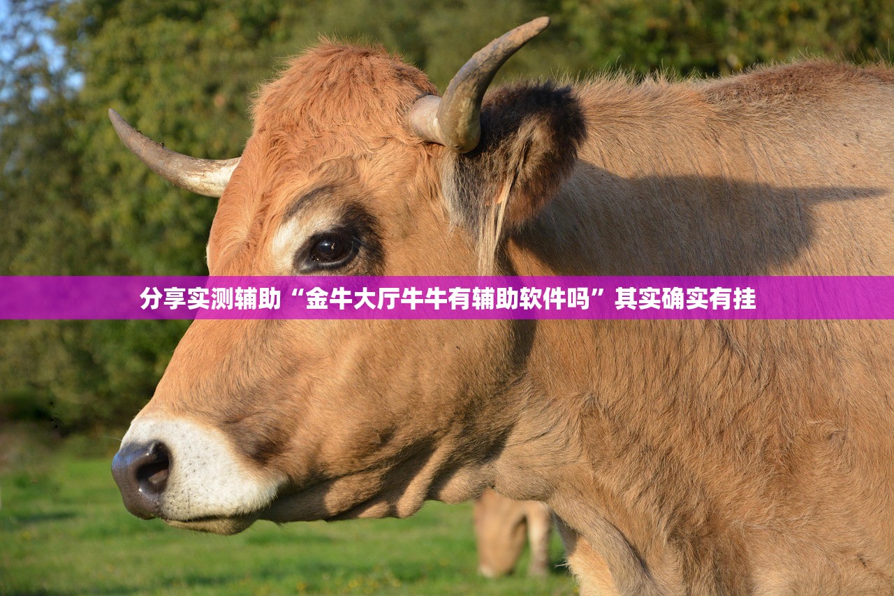 分享实测辅助“金牛大厅牛牛有辅助软件吗”其实确实有挂