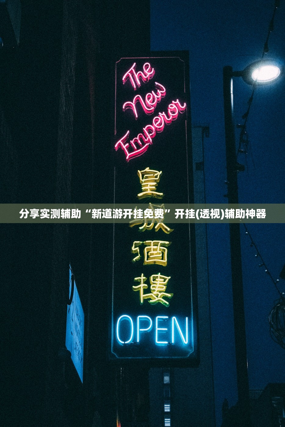分享实测辅助“新道游开挂免费”开挂(透视)辅助神器