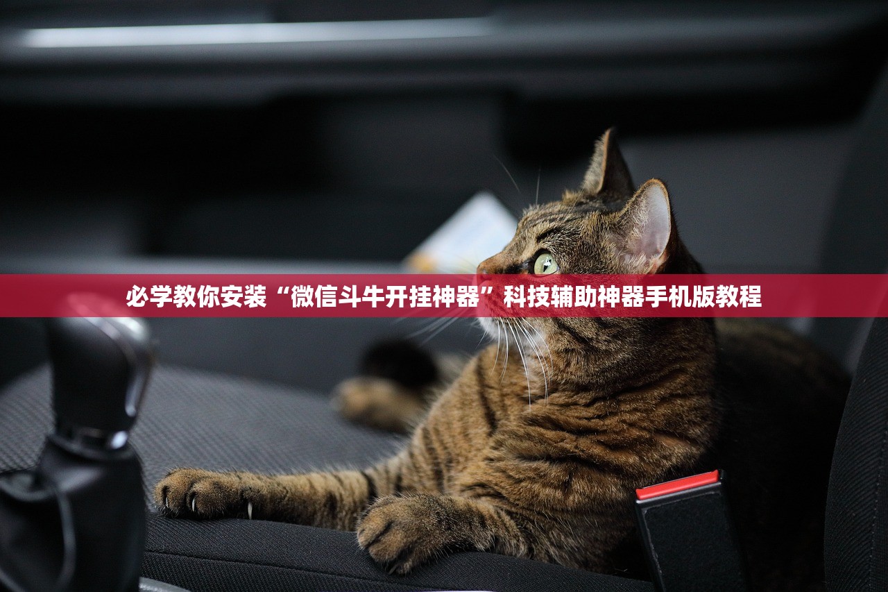 必学教你安装“微信斗牛开挂神器	”科技辅助神器手机版教程