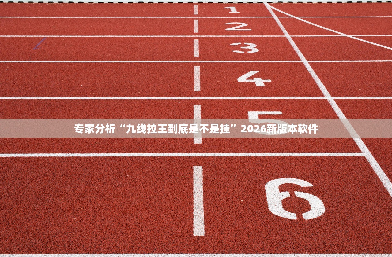 专家分析“九线拉王到底是不是挂	”2026新版本软件