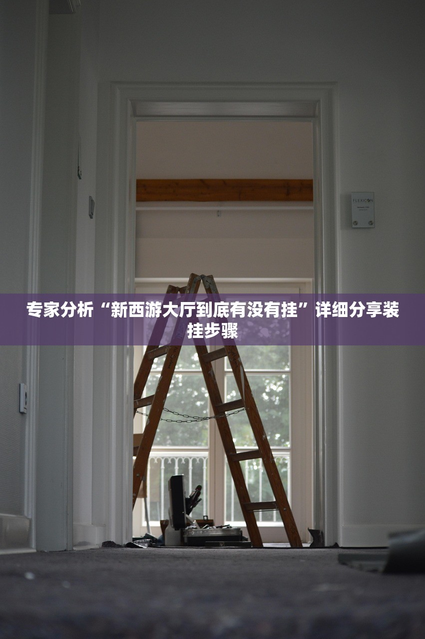 专家分析“新西游大厅到底有没有挂	”详细分享装挂步骤