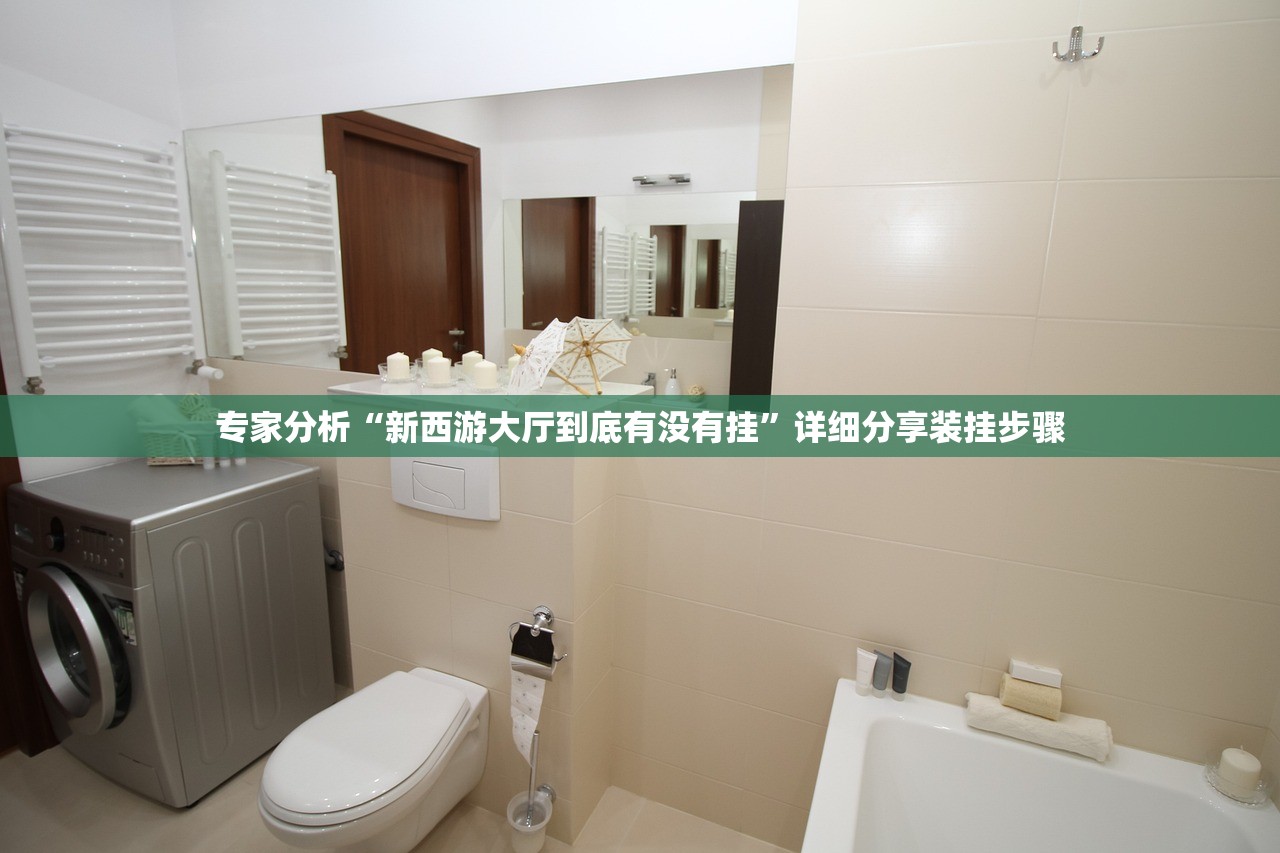 专家分析“新西游大厅到底有没有挂”详细分享装挂步骤