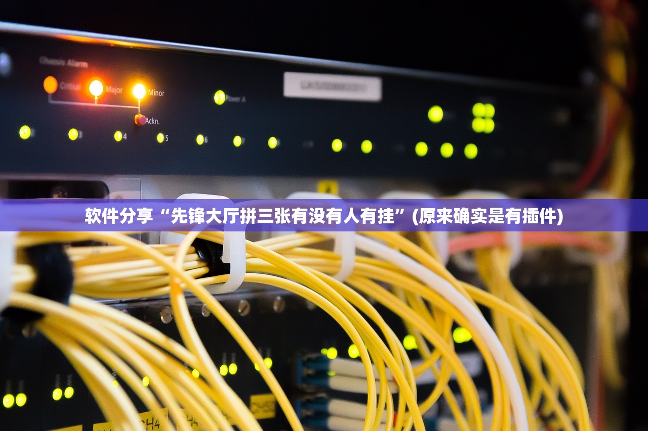 软件分享“先锋大厅拼三张有没有人有挂	”(原来确实是有插件)