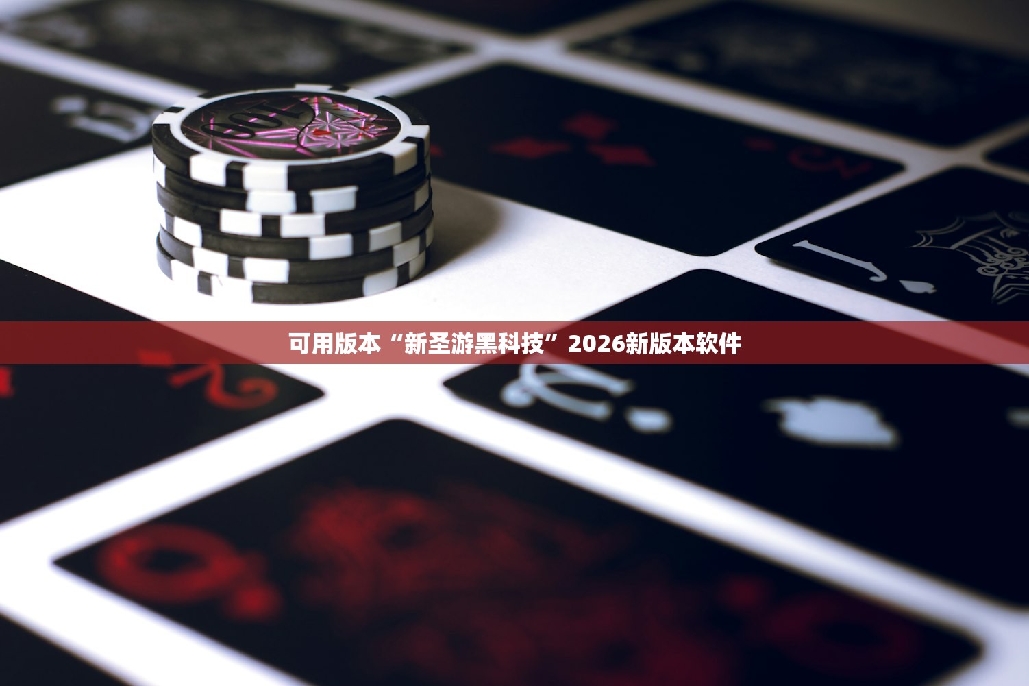 可用版本“新圣游黑科技	”2026新版本软件