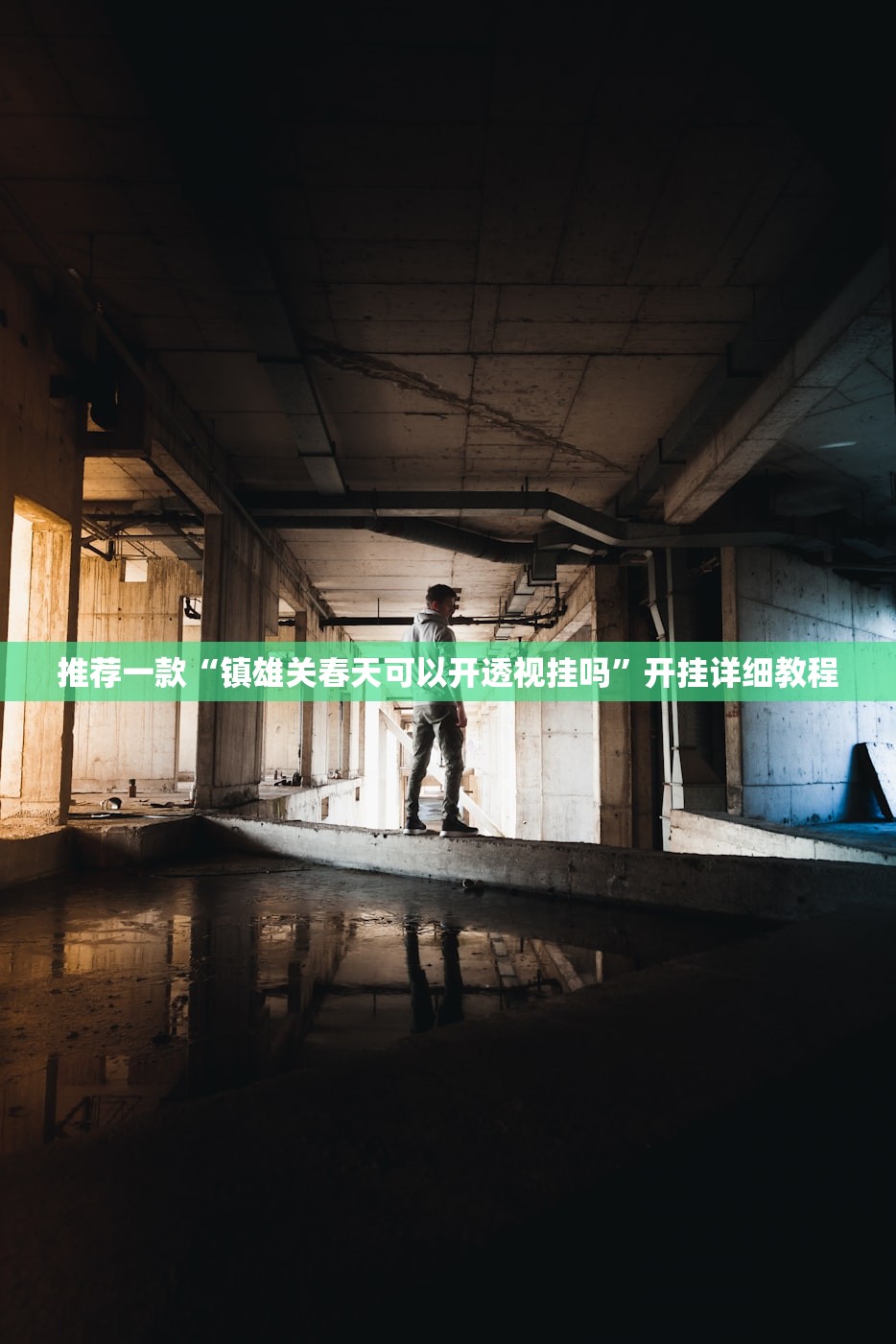 推荐一款“镇雄关春天可以开透视挂吗	”开挂详细教程