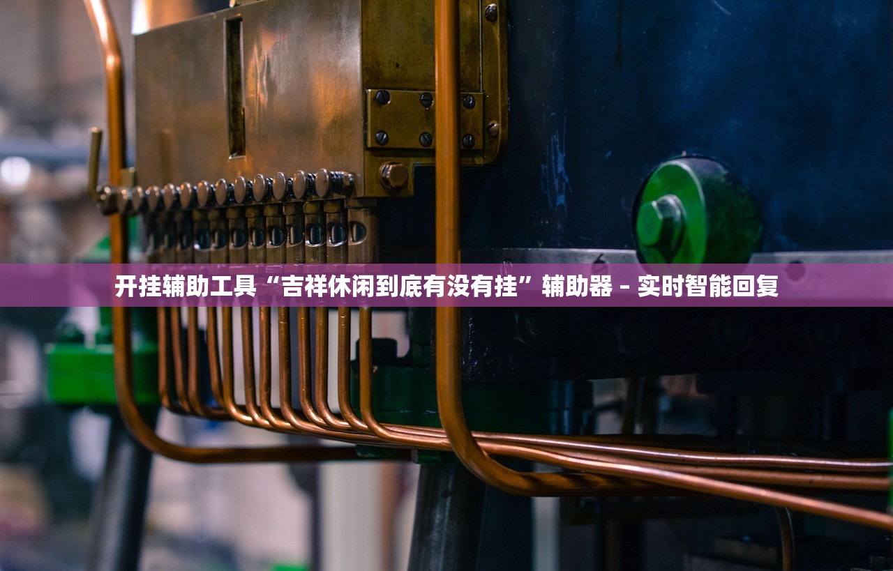 开挂辅助工具“吉祥休闲到底有没有挂”辅助器 – 实时智能回复
