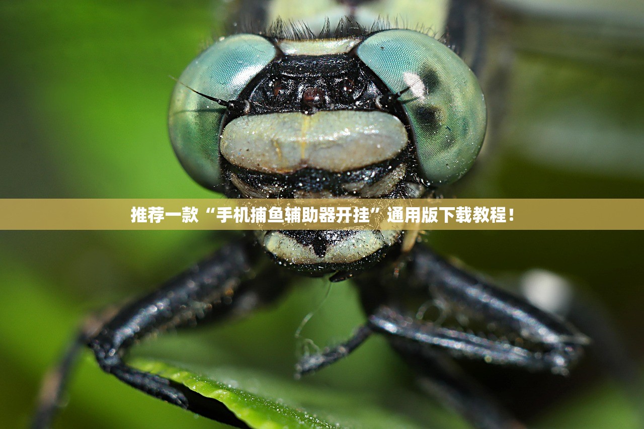 推荐一款“手机捕鱼辅助器开挂”通用版下载教程！