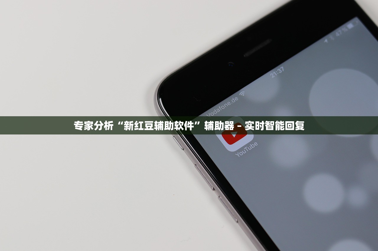 专家分析“新红豆辅助软件”辅助器 – 实时智能回复