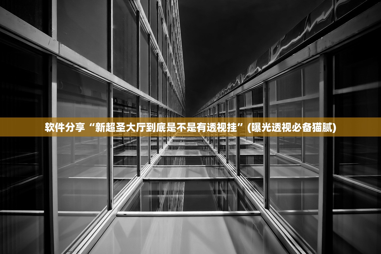 软件分享“新超圣大厅到底是不是有透视挂	”(曝光透视必备猫腻)